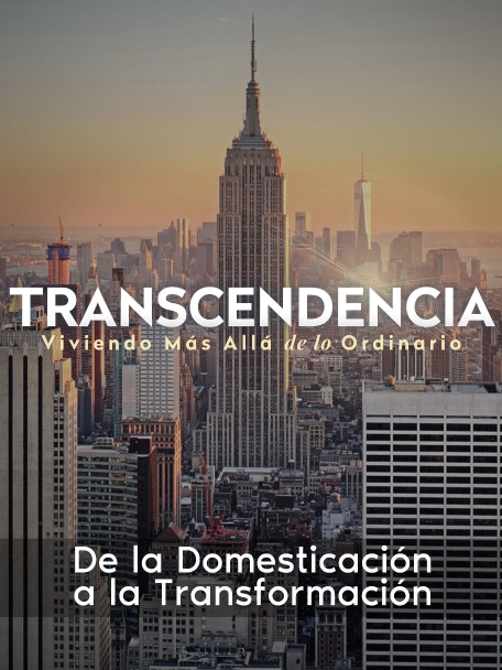 08f3fd0c D784 432a Bb54 581844934856