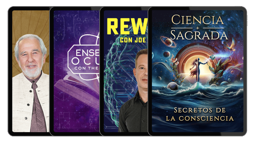 10 Es Whats Included Originalcontent Divine