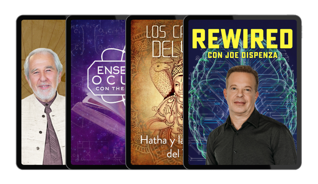 10 Es Whats Included Originalcontent