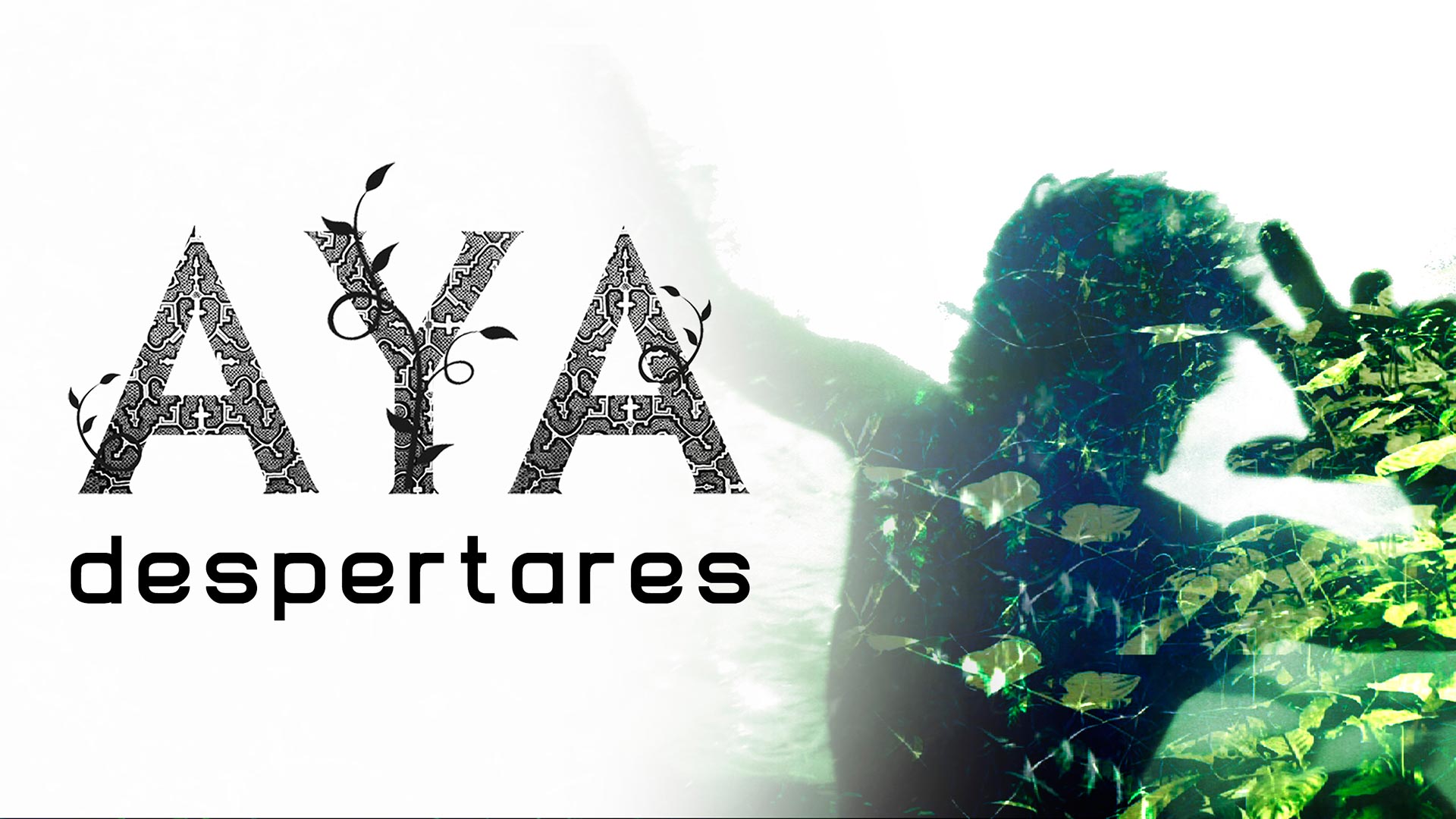 116391 aya despertares 16x9