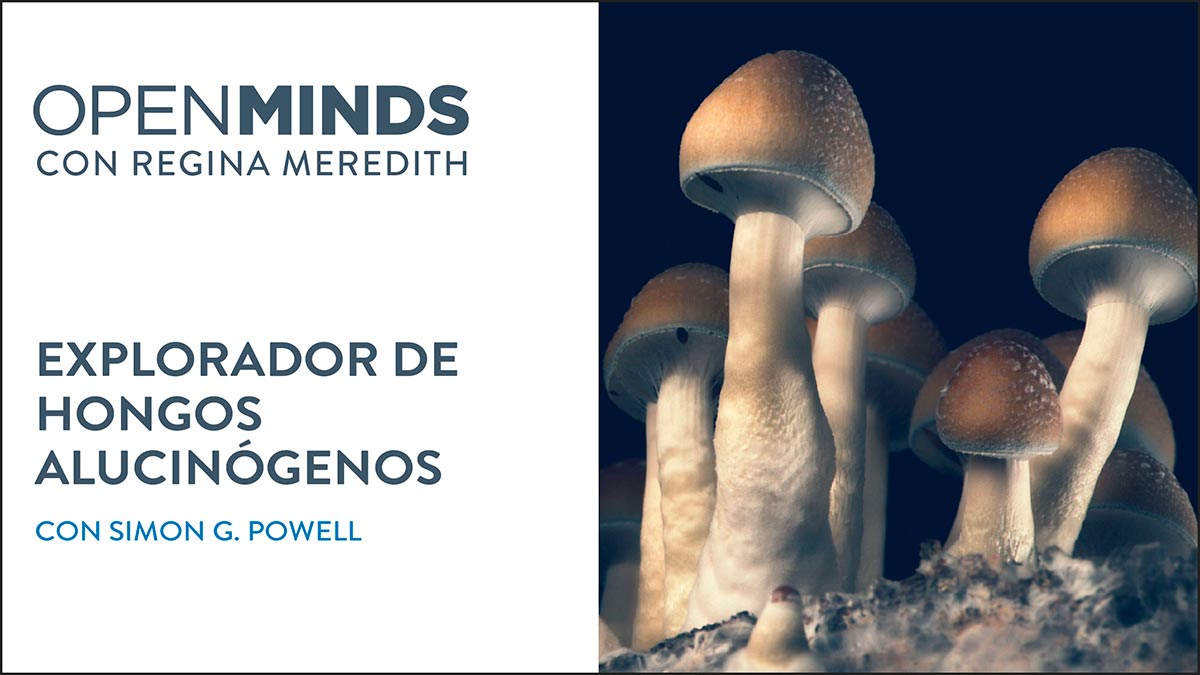 116576 om explorador de hongos alucinogenos c simon g powell 16x9