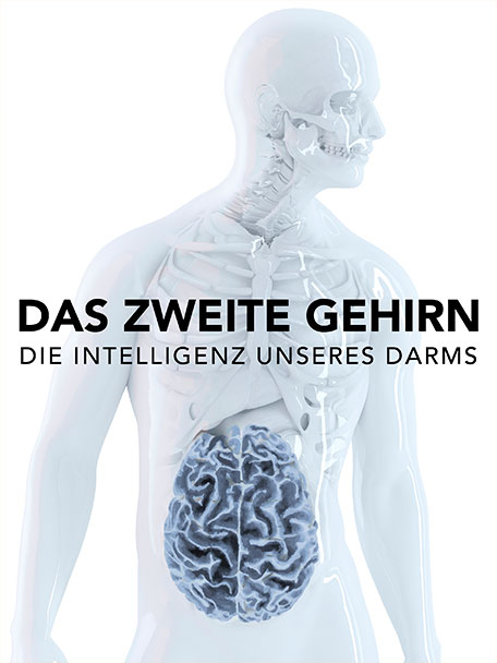 117526 The Gut Our Second Brain Gmn 3x4