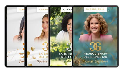 13 Es Whats Included Cursos V2