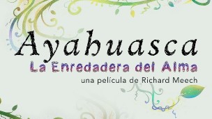 132336 ayahuasca la enredadera del alma 16x9