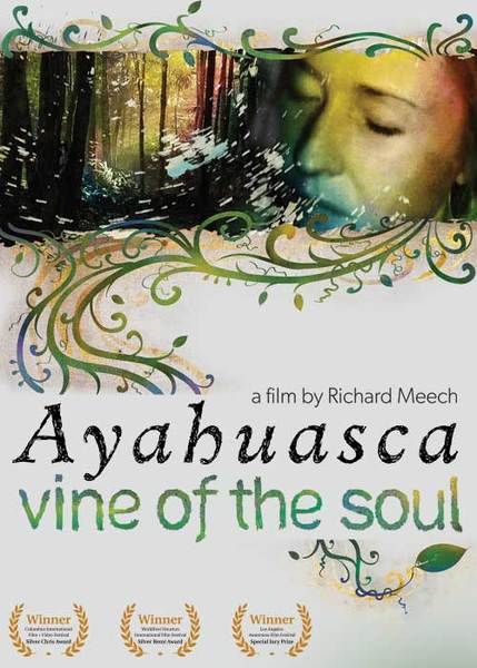 132336 ayahuasca vine of the truth cvr x600