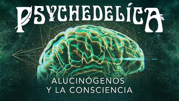 167071 P E1 Psychedelica And Consciousness Es 16x9 (r