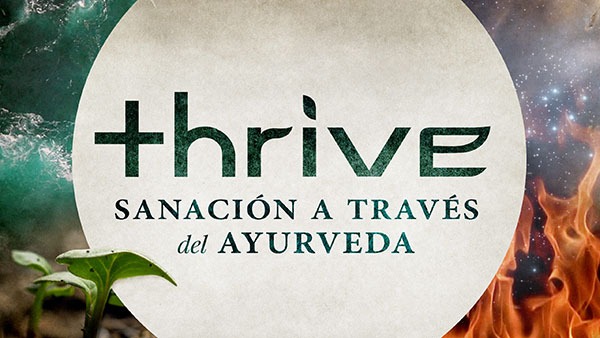 179166 thrive sp 16x9