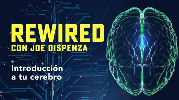 183908 Gtv Rw Introduction To Your Brain Es La Keyart 16x9.jpg