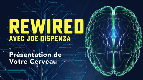 183908 Gtv Rw Introduction To Your Brain Fr Fr Keyart 16x9.jpg