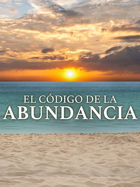 186132 The Abundance Code Sp 3x4
