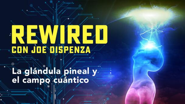 187086 Gtv Rw Pineal Gland And The Quantum Field Es La Keyart 16x9.jpg