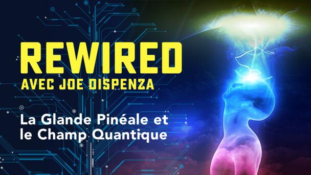 187086 Gtv Rw Pineal Gland And The Quantum Field Fr Fr Keyart 16x9.jpg