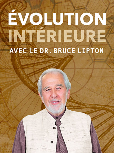 200174 Ie Series Fr 3x4 (1)