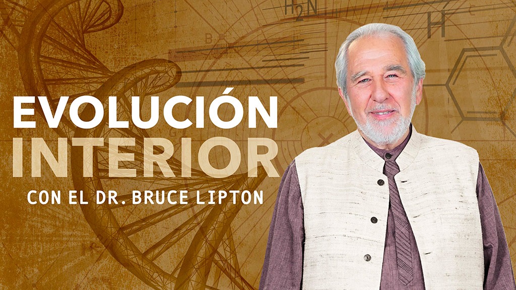 200174 inner evolution sp 16x9 meta