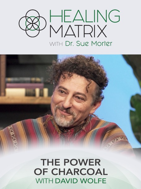 200785 hm s5e5 the power of charcoal w david wolfe 3x4
