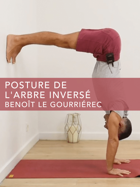 204474 aq mq posture de larbre inverse fr fr keyart 3x4