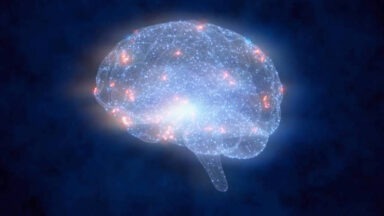 Study Shows Consciousness May Be Product of Quantum Effect