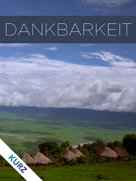 39356 Dankbarkeit 3x4