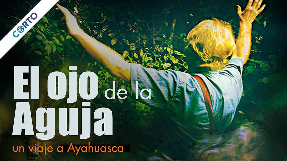 39801 el ojo de la aguja 16x9