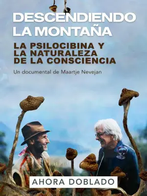 4 Descending The Mountain Spanish