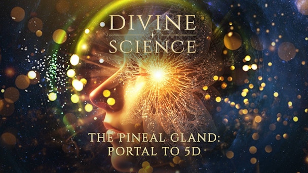 43567eb3 5fd0 4991 817c C51ff0c1b713 (1)