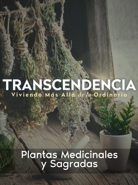 4967be69 E9a6 4127 Bf55 922b2bdee556