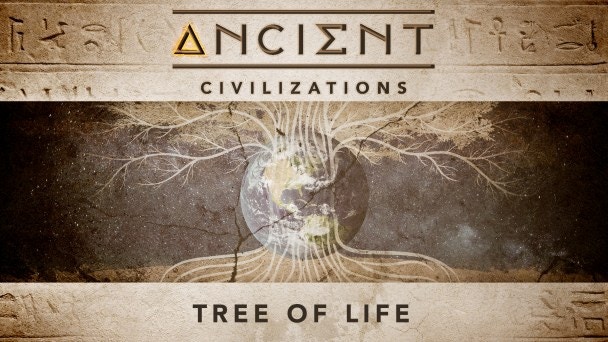 540d5b1f 911b 4449 B1e3 Bb7f6602c062