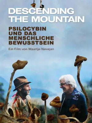 6 Descending The Mountain German