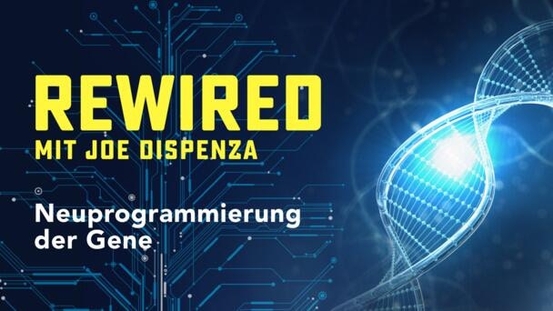 729737d6 5b18 4fd8 A20b F1cc639e225b