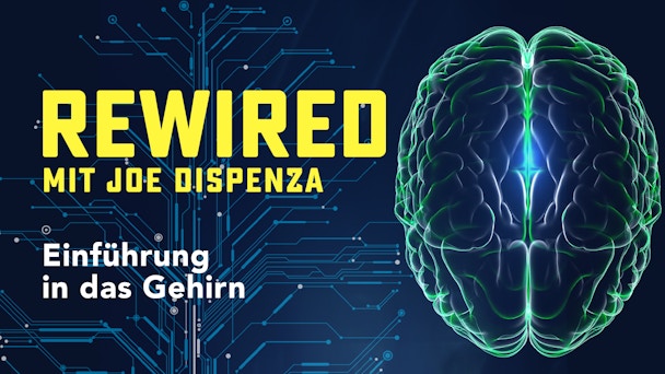 76c214f7 2d16 4739 Bce5 5d9bbc14a045