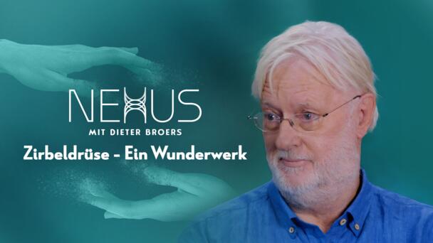 9e58f398 C29e 4aa6 8f92 E3c8faaf40af.png