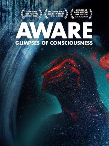 Aware Glimpses Of Consciousness 3x4
