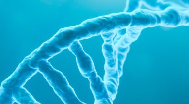 Técnicas de activación del ADN para alcanzar todo nuestro potencial