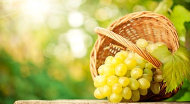 Alimentación en otoño-Nutrición inteligente