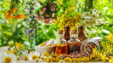 Propiedades mágicas de las plantas