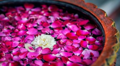 Alternative Medicine Part 2: Ayurvedic Medicine