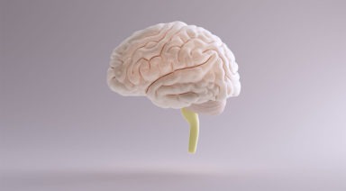 How to Tell If You’re Being Controlled by Your Mind or Intellect