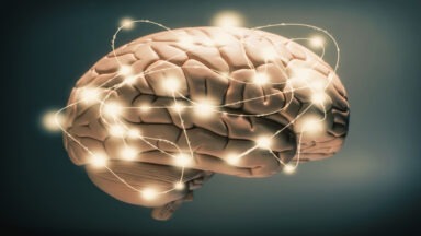 New Theory Says Consciousness is Electromagnetic