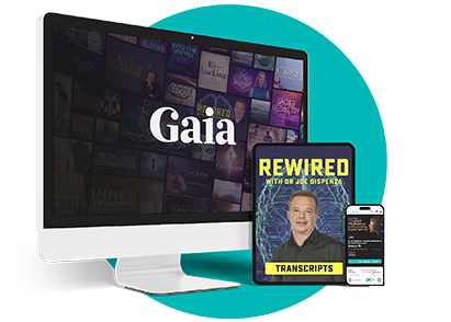 Cs11692 Marketing Rewired Black Friday Thank You Lp Design Landing Page Gfx En Us Bonuses 6