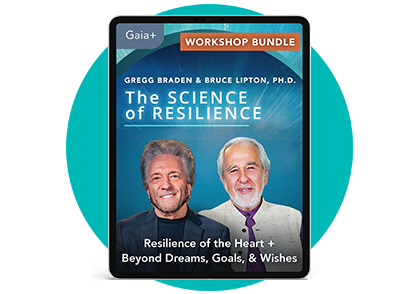 Cs11692 Marketing Rewired Black Friday Thank You Lp Design Landing Page Gfx En Us Bonuses Braden Lipton Bundle