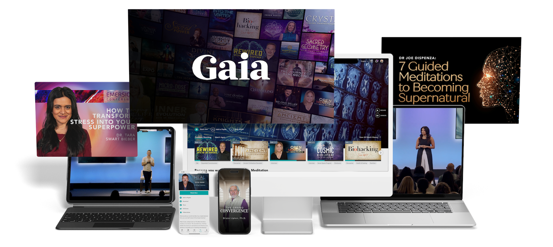 Cs13827 Marketing Divine Science Lp Version B Bundle Mockup Large