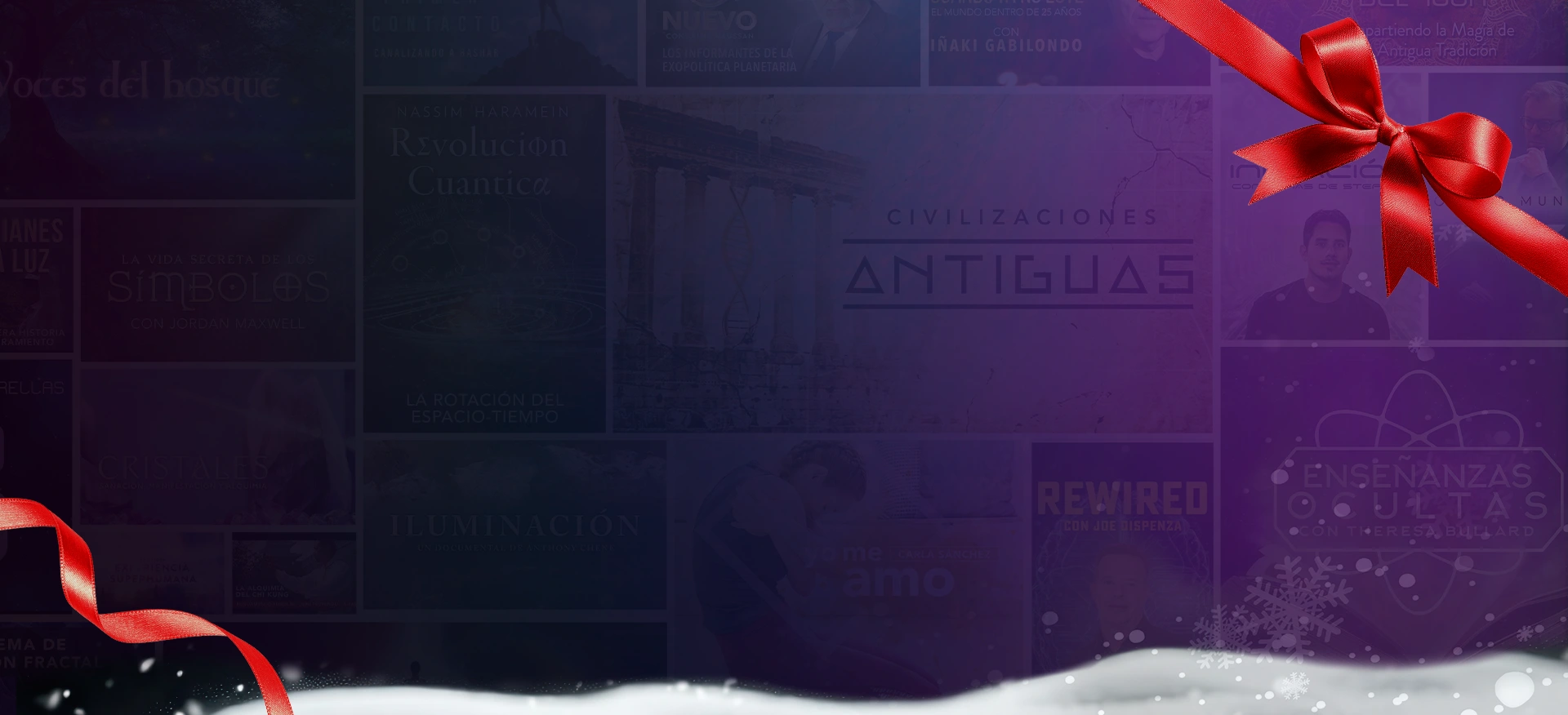 Holiday Offer – ES – Version 2