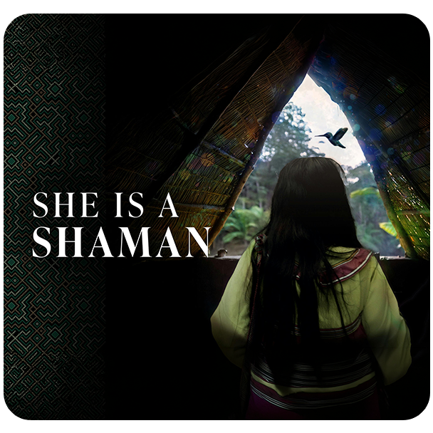 Cs23918 Marketing Medicine Festival Free Month Of Gaia Landing Page Gfx Pkg Website And Anonlps En Us Popular Series Slider She Is A Shaman