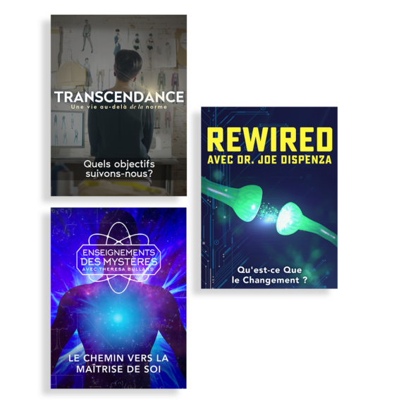 Cs2957 International Adaptation Of Path To Self Lp Into Fr Features Mind