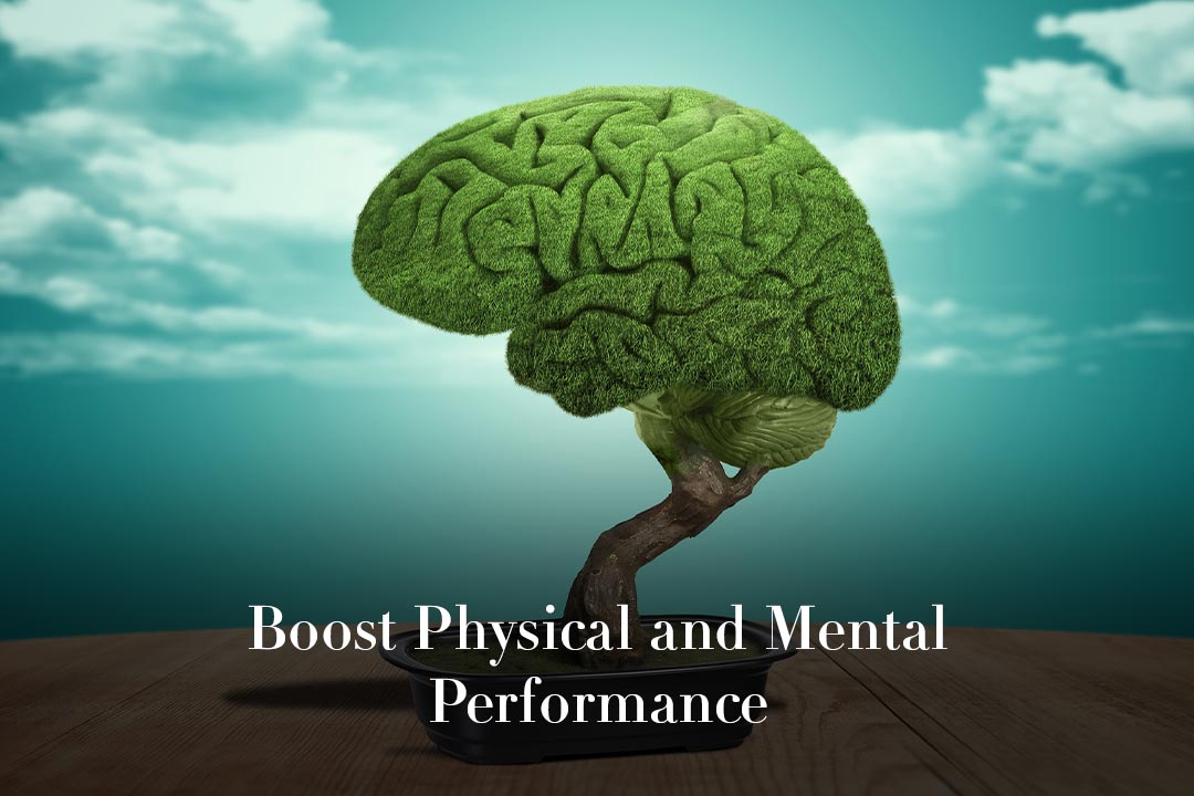 Cs6008 Co Ambassadors Biohacking Lp Revision Thumbnail Mental