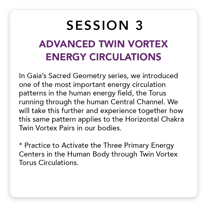 Cs7861 Co Gaiasphere Sacred Geometry Lp Updates Session 3 V2