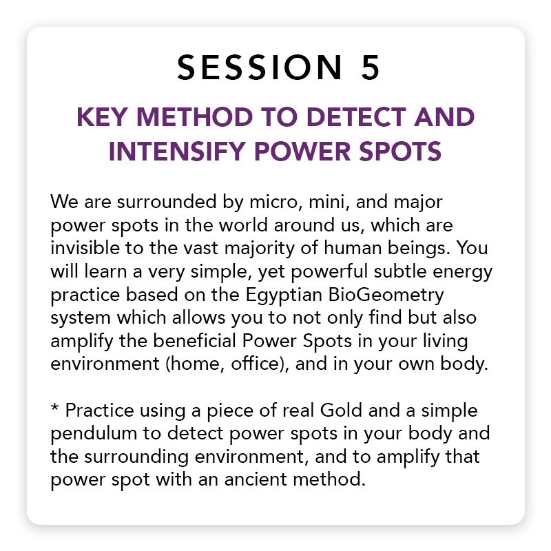 Cs7861 Co Gaiasphere Sacred Geometry Lp Updates Session 5