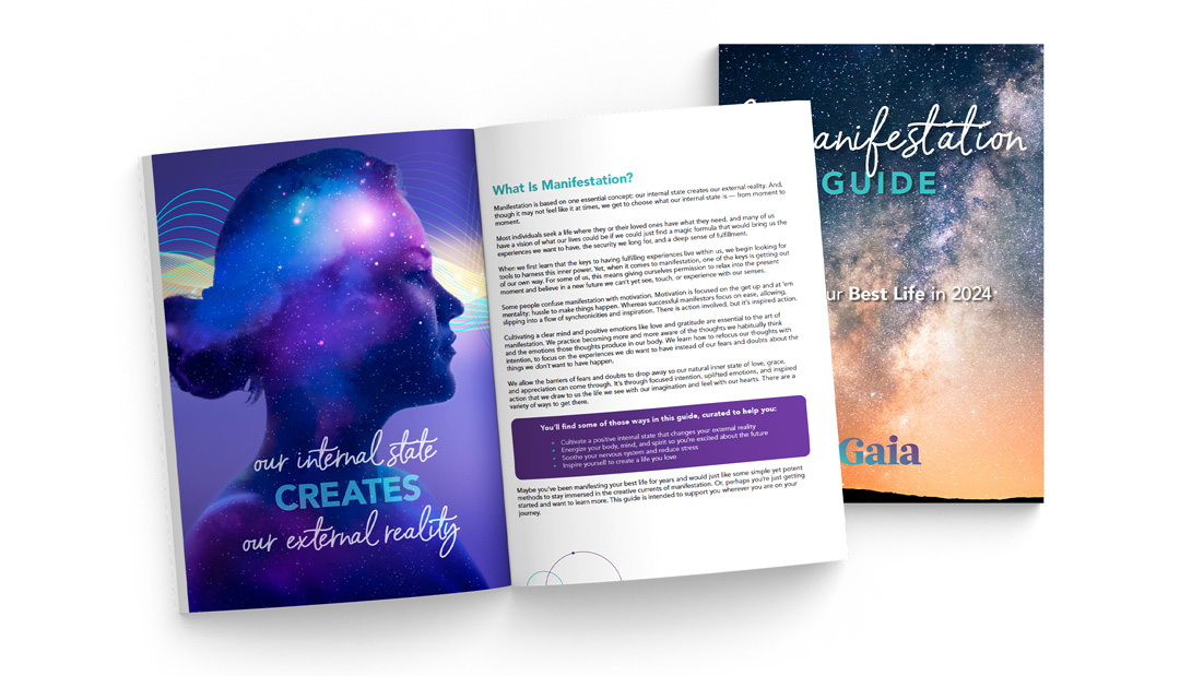 Cs8290 Marketing May Dtp Campaign Lp Manifestation Guide Mock V2