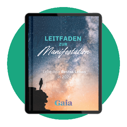 De Bonus Manifest Guide