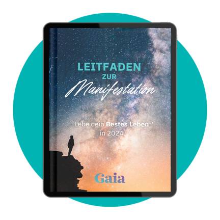 De Bonus Manifest Guide